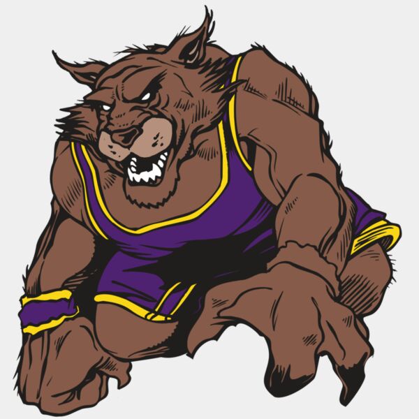 AR WILDCAT 23 RC Thumbnail