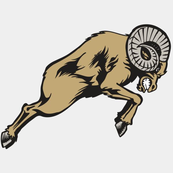 BAW RAM 04 RC Thumbnail