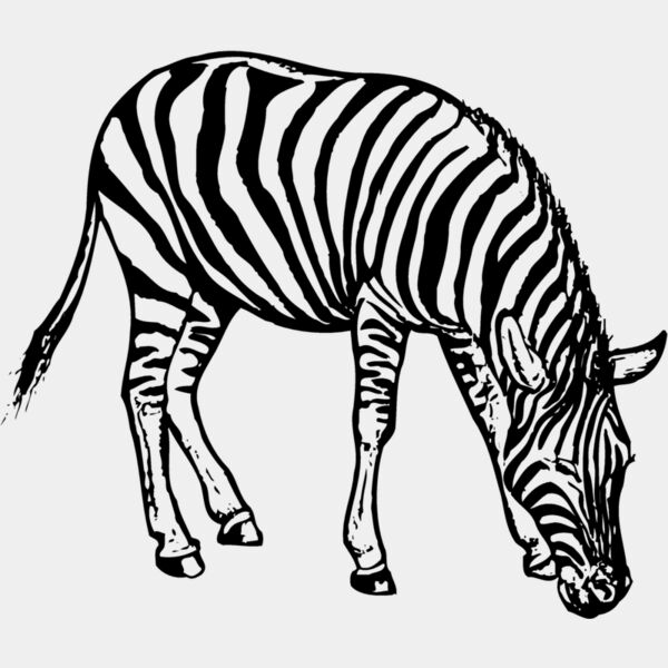 ZEBRA001 Thumbnail