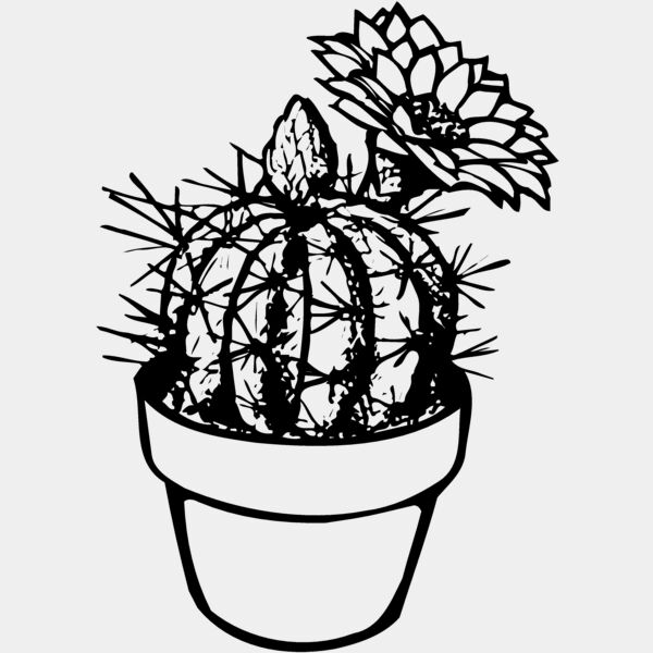 CACTUS01 Thumbnail